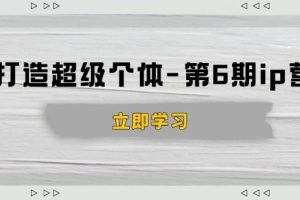 （14014期）打造 超级个体-第6期ip营：商业认知,产品设计,成交演练,解决知识变现难题