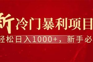（14495期）全新项目，每天被动收益1000+，长期管道收益！