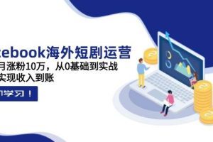 (14328期)Facebook海外短剧运营:一个月涨粉10万,从0基础到实战,快速实现收入到账
