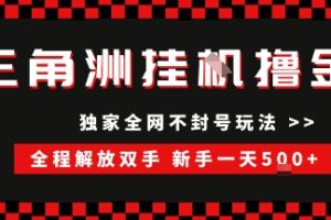 （15289期）三角洲全自动挂机，独家不封号玩法，单窗口20+，新手小白轻松一天500+，无脑搬砖