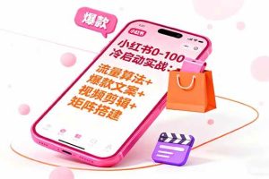 (16298期)小红书0-100冷启动实战:流量算法+爆款选品+爆款文案+视频剪辑+矩阵搭建