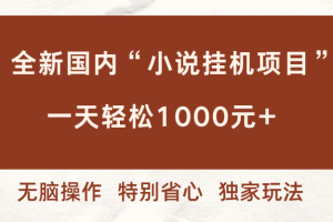 (16833期)全新国内小说挂G项目,多窗口无脑跑,一天轻松1k+,特别省心【揭秘】